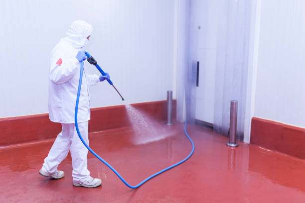 Best Parking Lot Cleaning in Columbia, KY